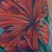 Tattoos - realistic color hibiscus tattoo. Brent Olson. Art Junkies tattoo - 86551